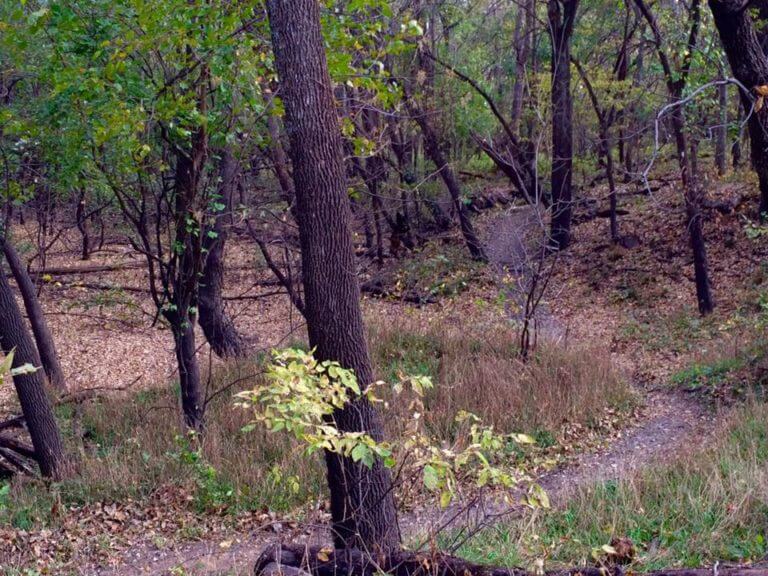 ESU bike trails