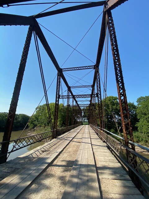 bird-bridge-rotated