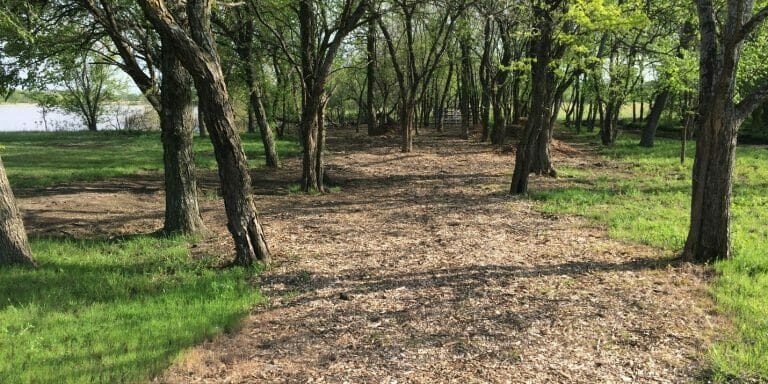 olpe-eagle-creek-disc-golf